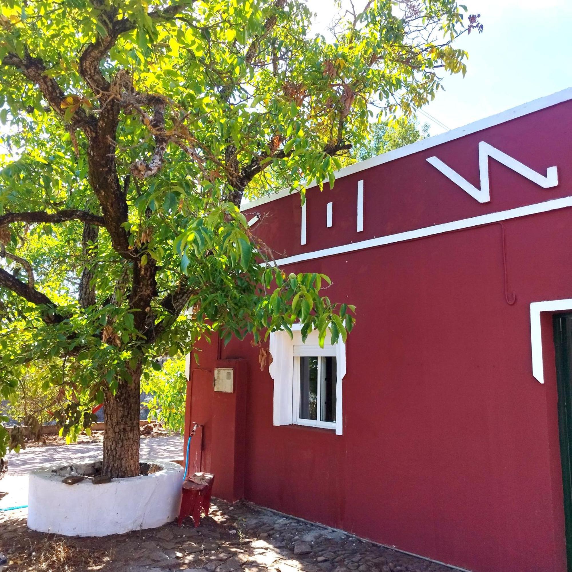 La Casita Hostel Vega de San Mateo Exterior photo